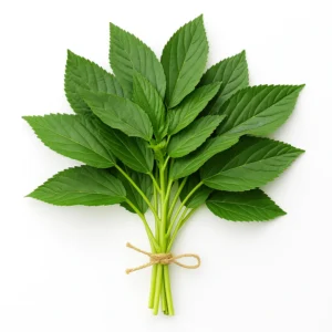 Molokhia Leaves