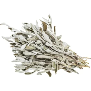 Mountain Sage Leaves